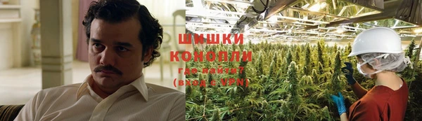PSILOCYBIN Баксан