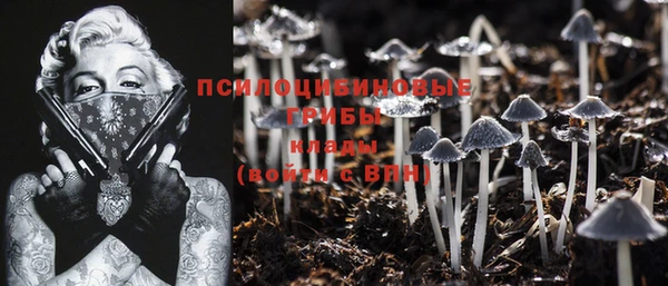 PSILOCYBIN Баксан
