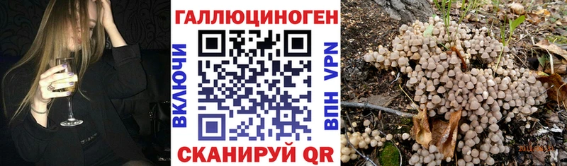 кракен зеркало  Ялуторовск  Псилоцибиновые грибы GOLDEN TEACHER  где найти наркотики 